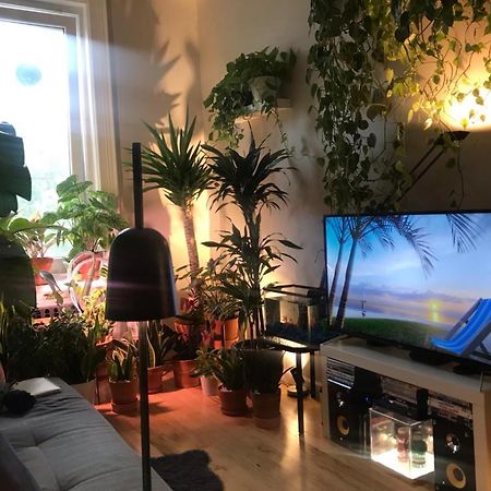 Urban Jungle Oasis In Queens! Appartamento New York Esterno foto
