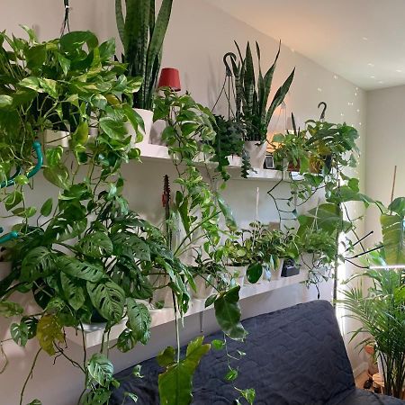 Urban Jungle Oasis In Queens! Appartamento New York Esterno foto