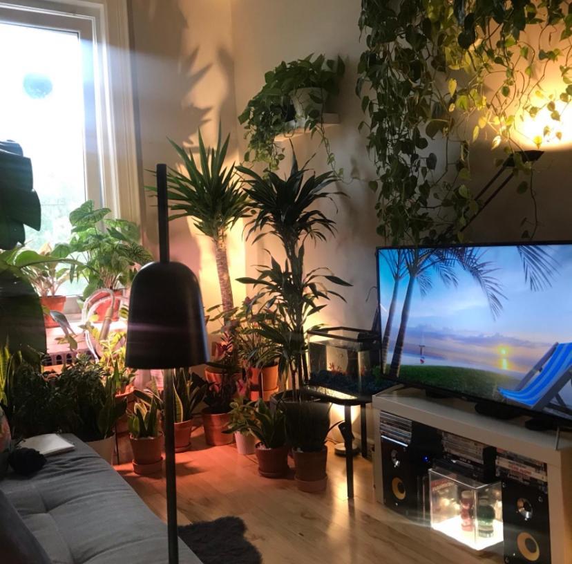 Urban Jungle Oasis In Queens! Appartamento New York Esterno foto