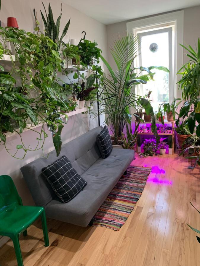 Urban Jungle Oasis In Queens! Appartamento New York Esterno foto