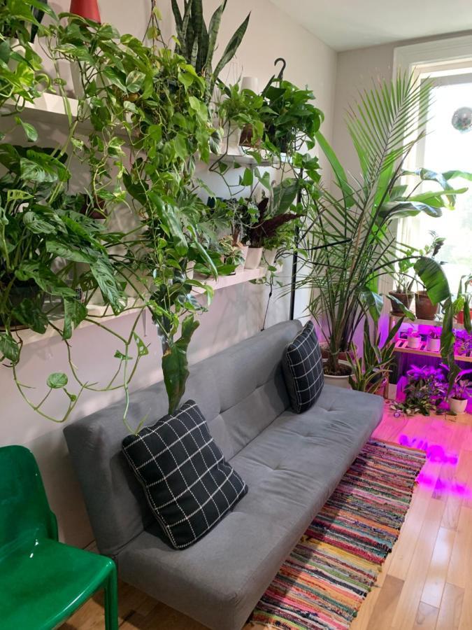 Urban Jungle Oasis In Queens! Appartamento New York Esterno foto