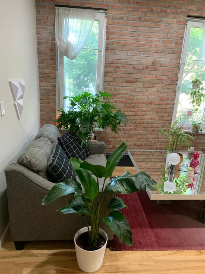 Urban Jungle Oasis In Queens! Appartamento New York Esterno foto
