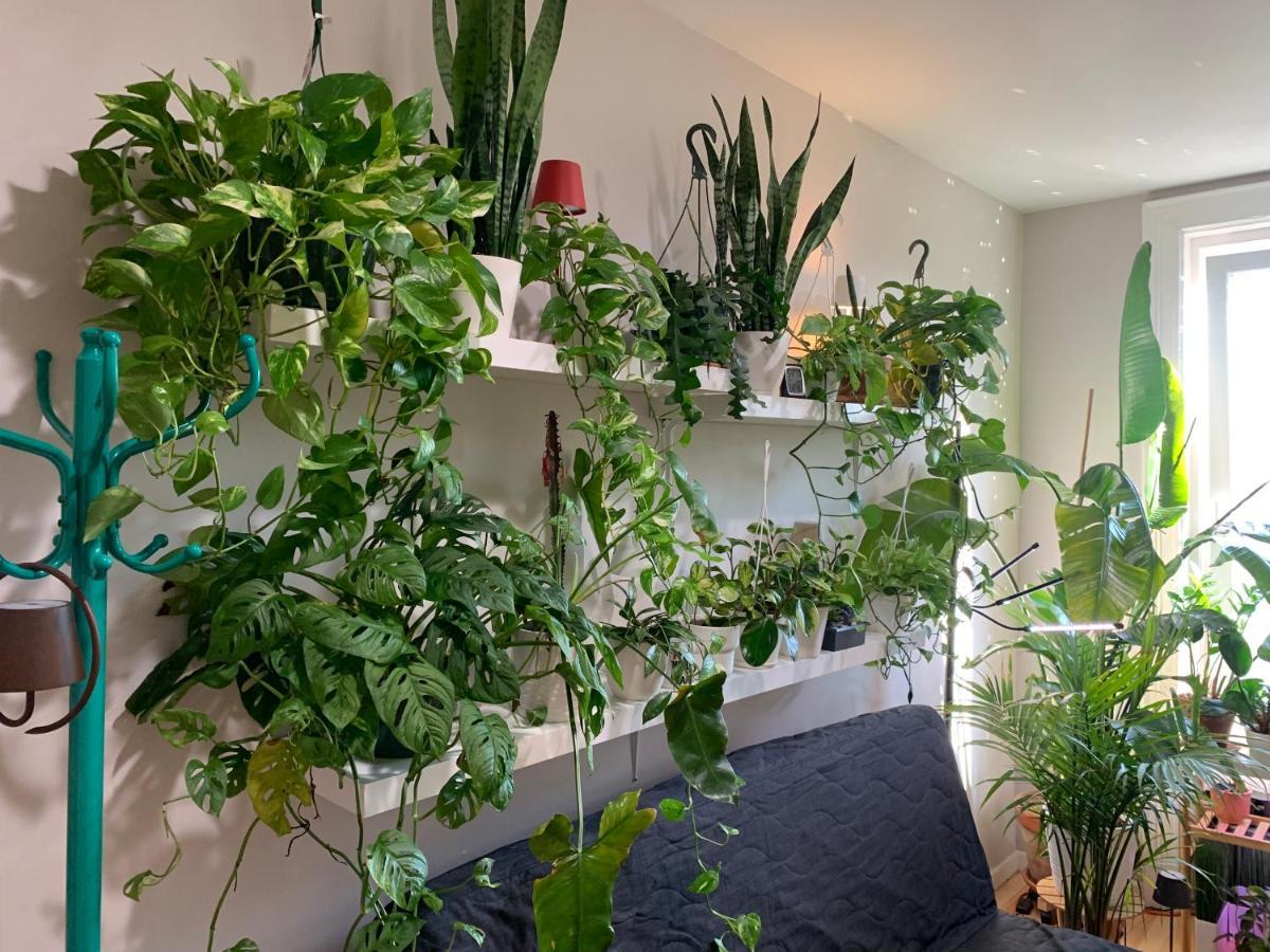 Urban Jungle Oasis In Queens! Appartamento New York Esterno foto