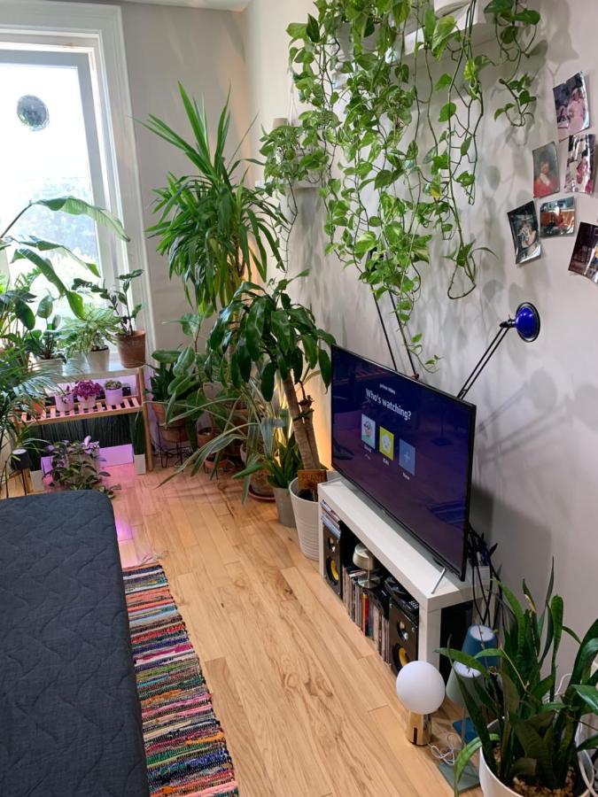 Urban Jungle Oasis In Queens! Appartamento New York Esterno foto